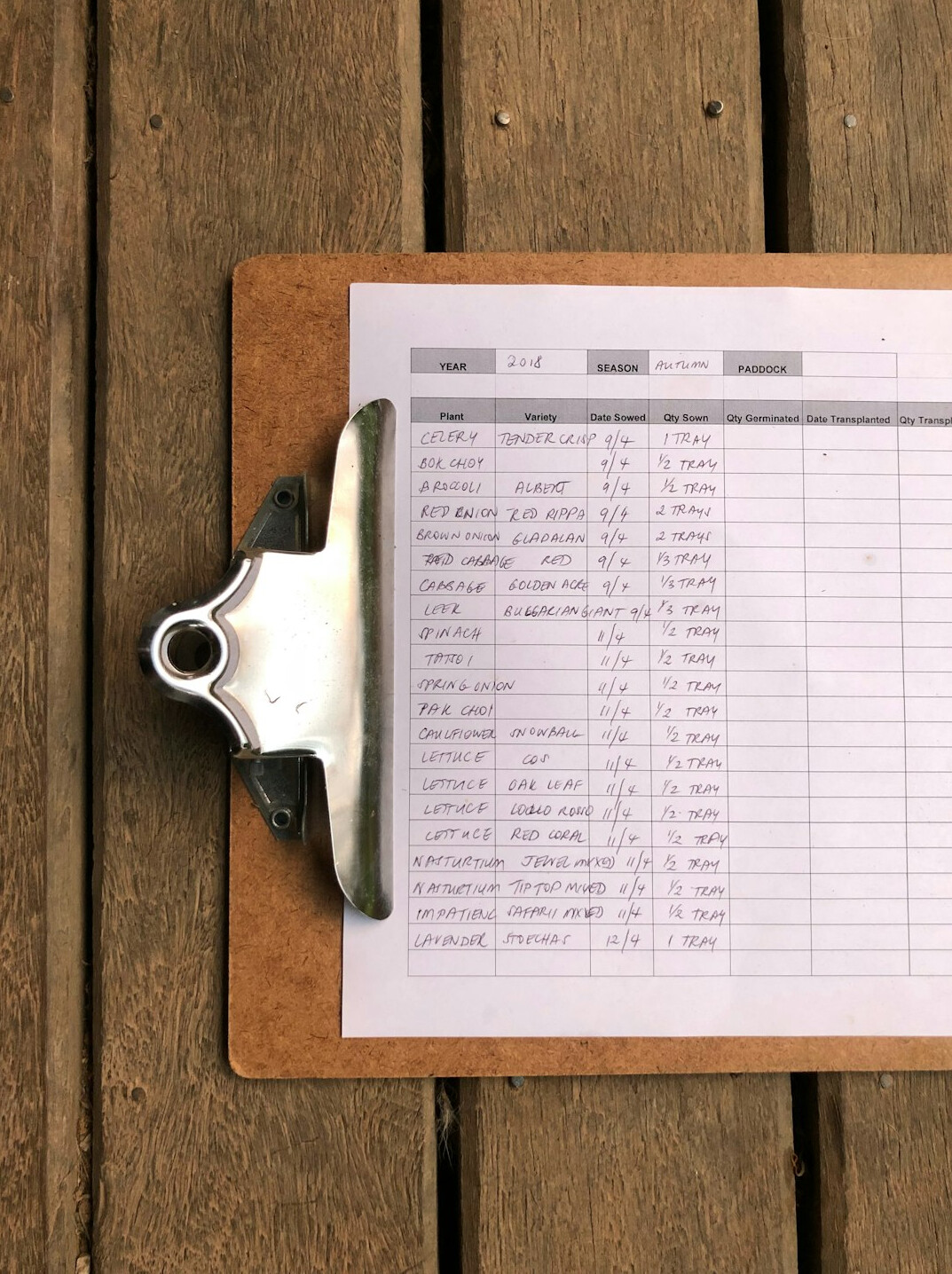 Close-up of financial spreadsheets and charts on paper