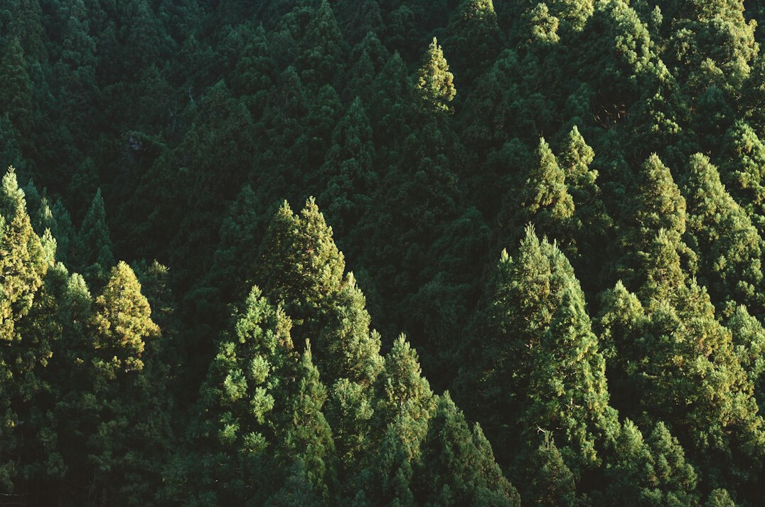 sustainable business practices